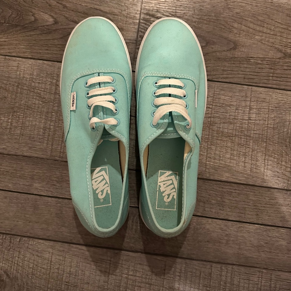 Vans Aqua Canvas Sneakers